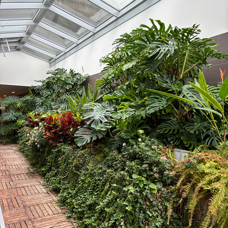 Création de jardin intérieur en Vendee
